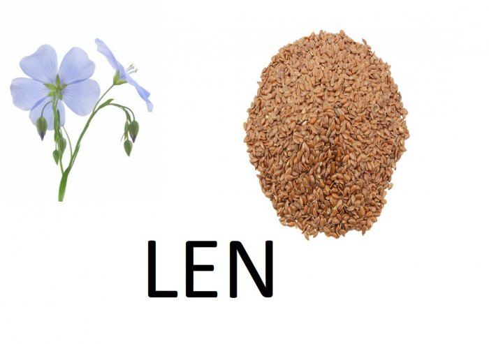 Lněné semínko hnědé 1kg