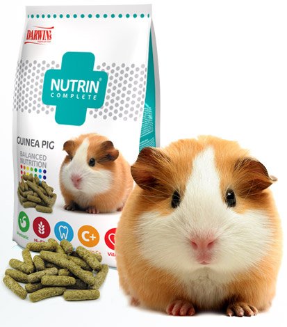 Darwin´s Nutrin Complete morče 400g