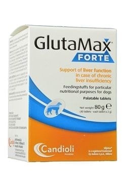 Glutamax forte 40tbl
