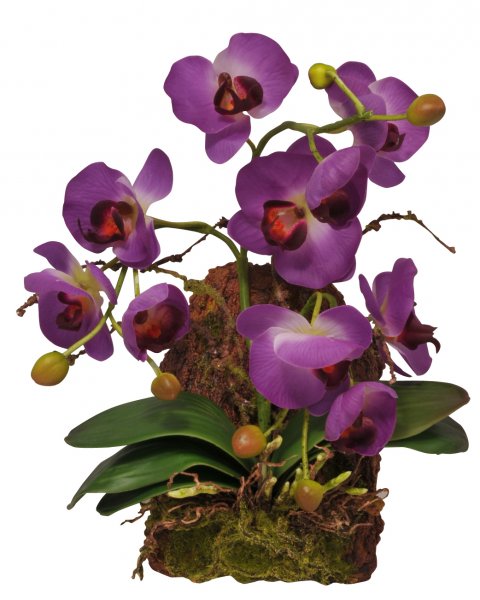 Lucky Reptile Závěsná orchidej - fialová cca 20x30 cm