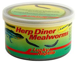 Lucky Reptile Herp Diner - mouční červi 35g