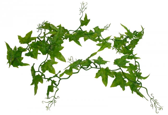 Lucky Reptile Ivy Vine 200 cm