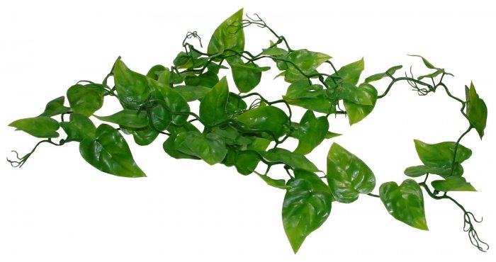 Lucky Reptile Philo Vine 200 cm
