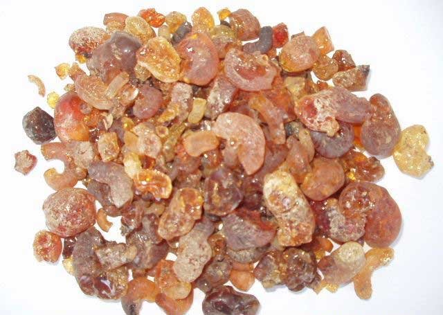 Arabská guma - kousky 1000g