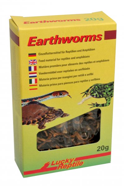 Lucky Reptile Earthworms 10 g