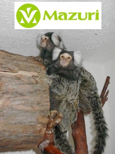 Mazuri Mini Marex 1000g