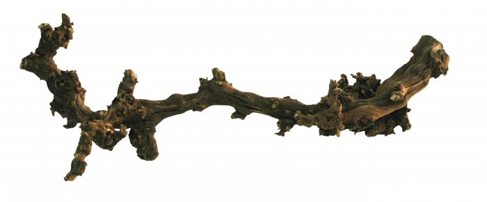 Lucky Reptile Grapevine tmavý M 40-60 cm