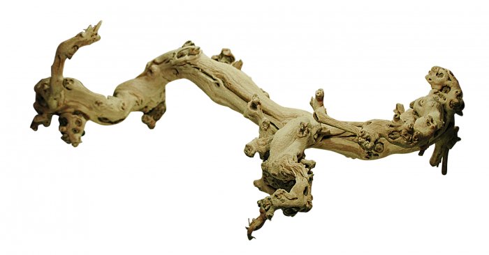 Lucky Reptile Pískovaný Grapevine L cca 50-70 cm