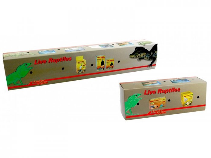 Box na ještěry velký - 10 ks