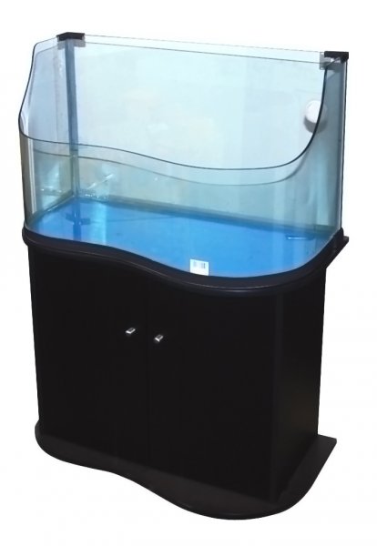 Lucky Reptile Turtle-Tarrium M - černá