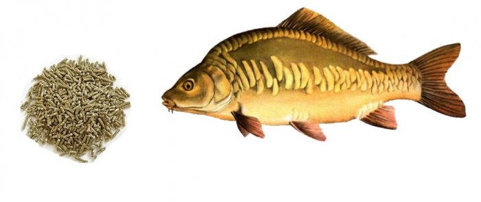 KP1 návnada +15% 1 kg