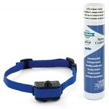 PetSafe Little Dog (PBC19-11796)