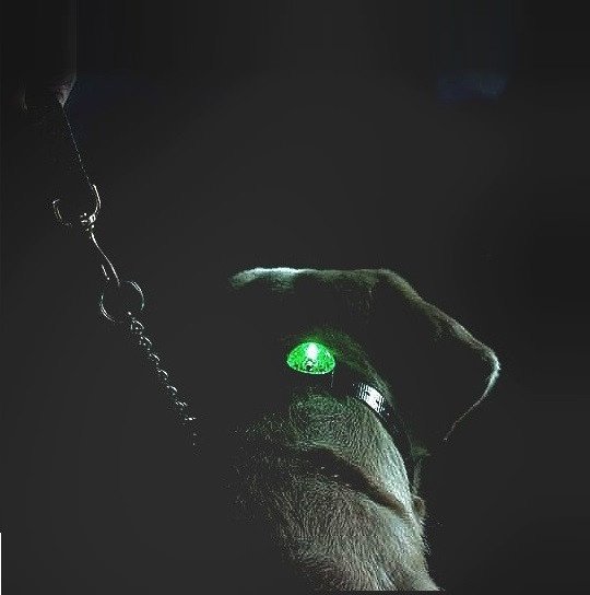 Svítící přívešek SportDog Locator Beacon