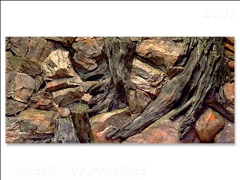 Pozadí AE Root 120 x 50 cm - poškozené SLEVA