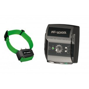 PET AT SCHOOL - pro 2 psy