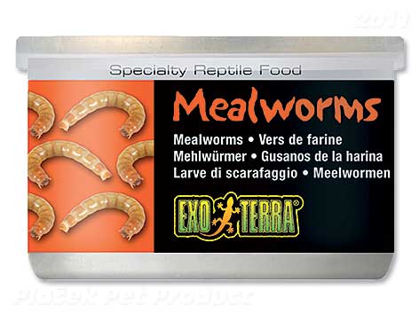 Krmivo Exo Terra Červ moučný 34 g