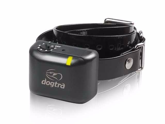 Dogtra YS300