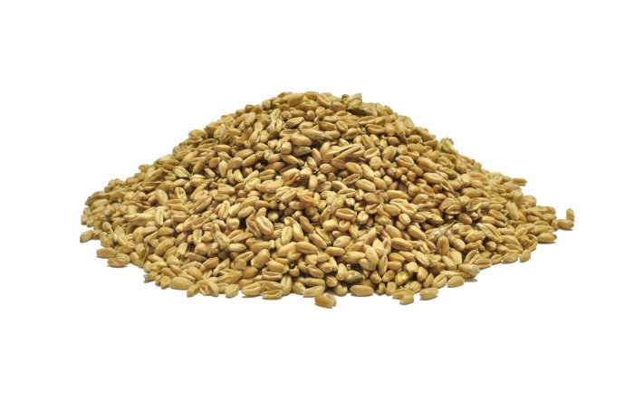 Pšenice 5 kg