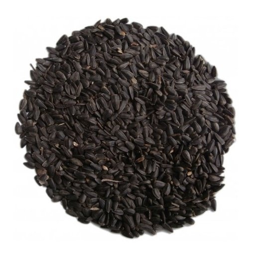Slunečnice černá 5kg