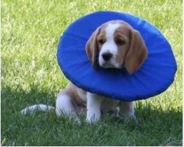 Límec ochranný měkký Tepaw vel.3 vnější pr.30cm