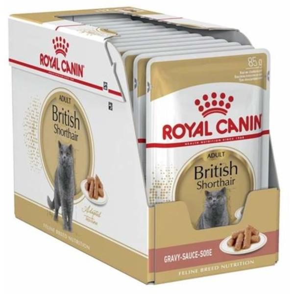 Royal Canin british shorthair adult 12 x 85 g