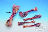 Kost masová vákuově balená Nobby 24 cm