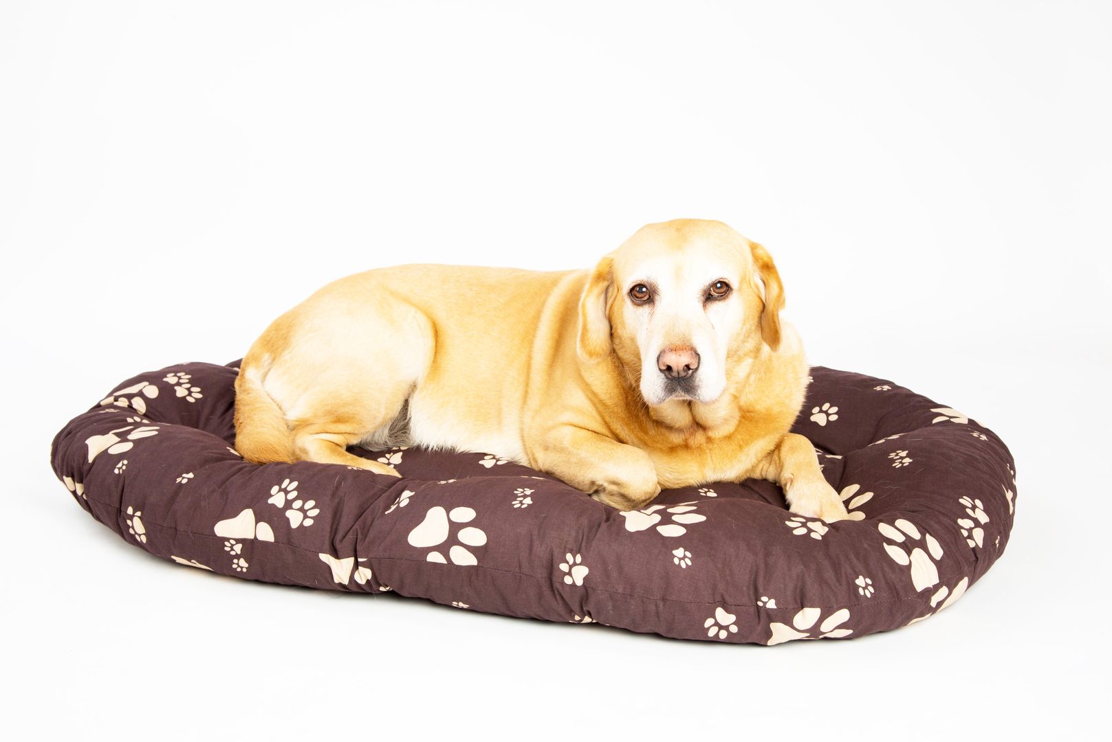 Polštář ovál bavl. Tlapka hnědo/béžová 60 cm