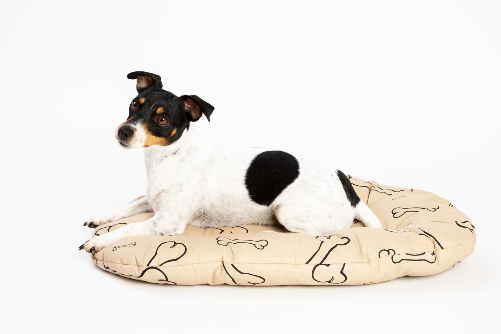 Polštář ovál bavl. Kost béžovo/černá 120 cm