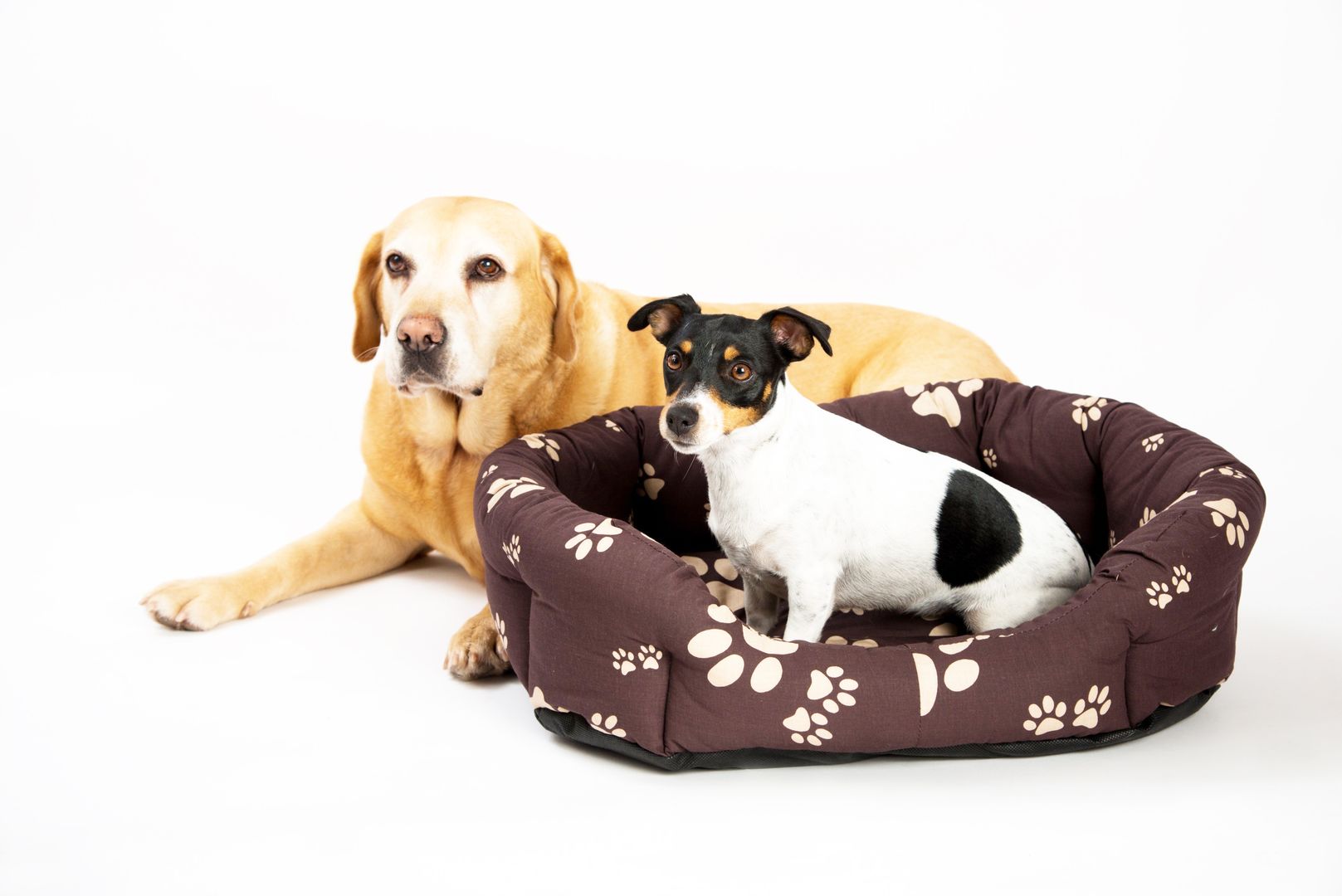 Pelech 8 hran bavl. Tlapka hnědo/béžová 45 cm