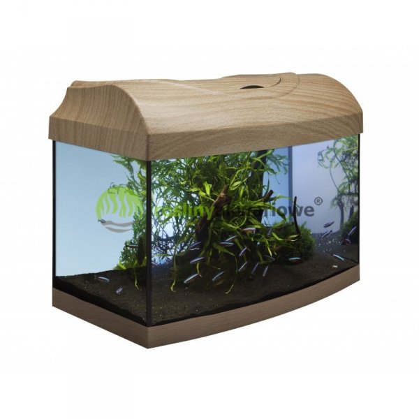 STARTUP 40AP ARISTO buk 25x25 akvarijní set