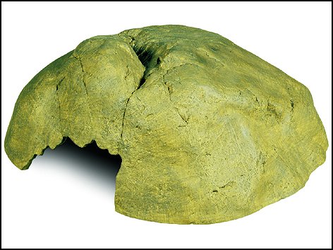 Hagen Exo Terra jeskyně Reptile Cave extra velká 30x28x12 cm