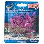 Rostlina plast Cuba Flamingo 9 cm