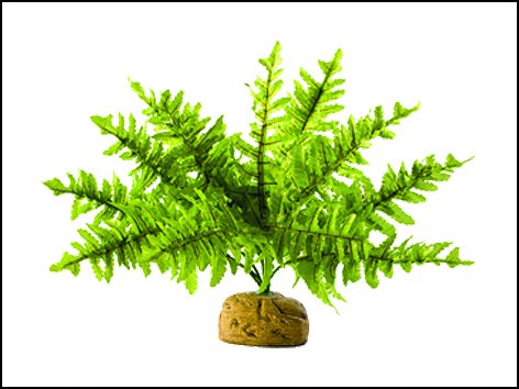 Hagen ExoTerra Boston Fern malý 17 cm