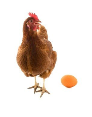 Biostan NS sypká směs pro nosnice 5 kg