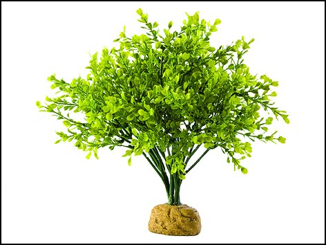 Hagen ExoTerra Boxwood Bush 27 cm