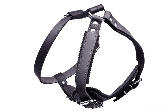 Kožený postroj JAGO - 07509A černá, 25xOK 60-80, OH 81-95