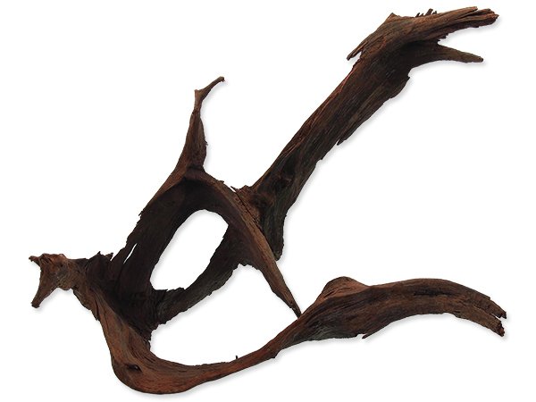 Kořen DECOR WOOD Mangrove Root L 1ks
