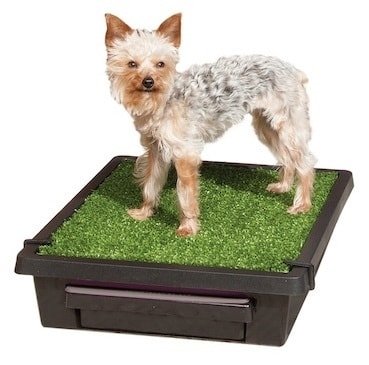 Mobilní záchod pro psy Pet Loo - M