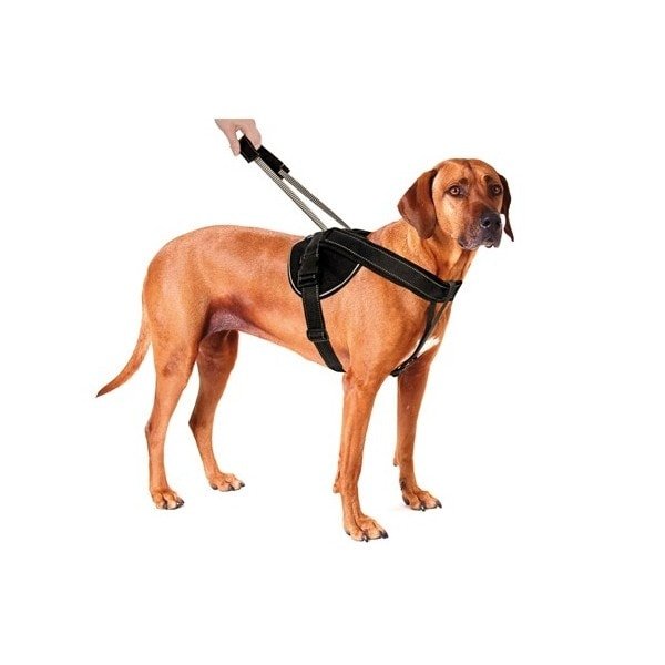 Vodící vodítko/postroj pro psy JockeyHarness - XXL