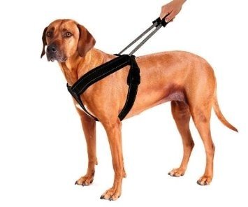 Vodící vodítko/postroj pro psy SportHarness - XXL