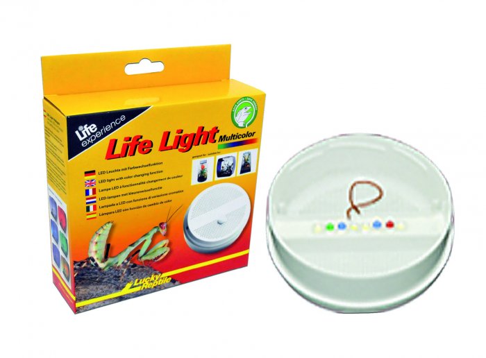 Life Light - Multicolor