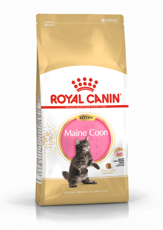 Royal Canin Maine Coon Kitten 2kg