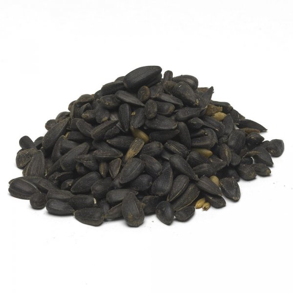 slunečnice černá 1kg /balena/