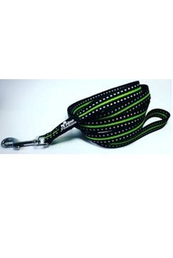 Vodítko DINOFASHION reflexní zelené 160/2,5cm