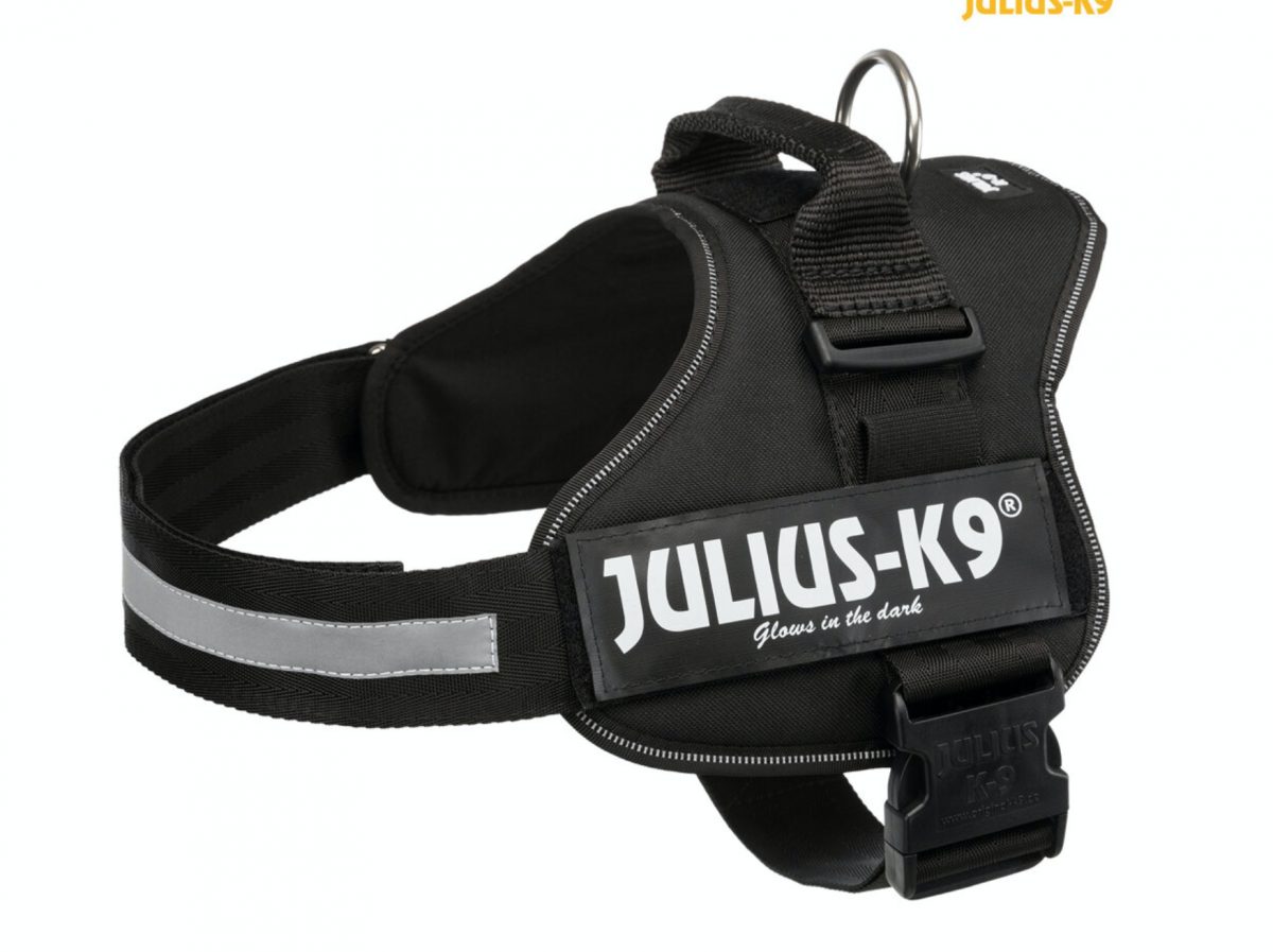 Julius-K9 silový postroj 2/L-XL 71-96 cm/50 mm  - černý