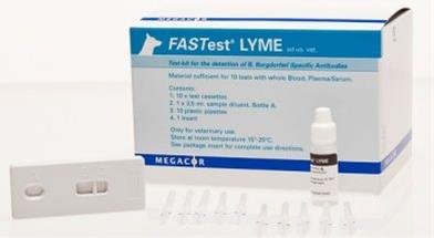 Test Lyme FASTest 2ks