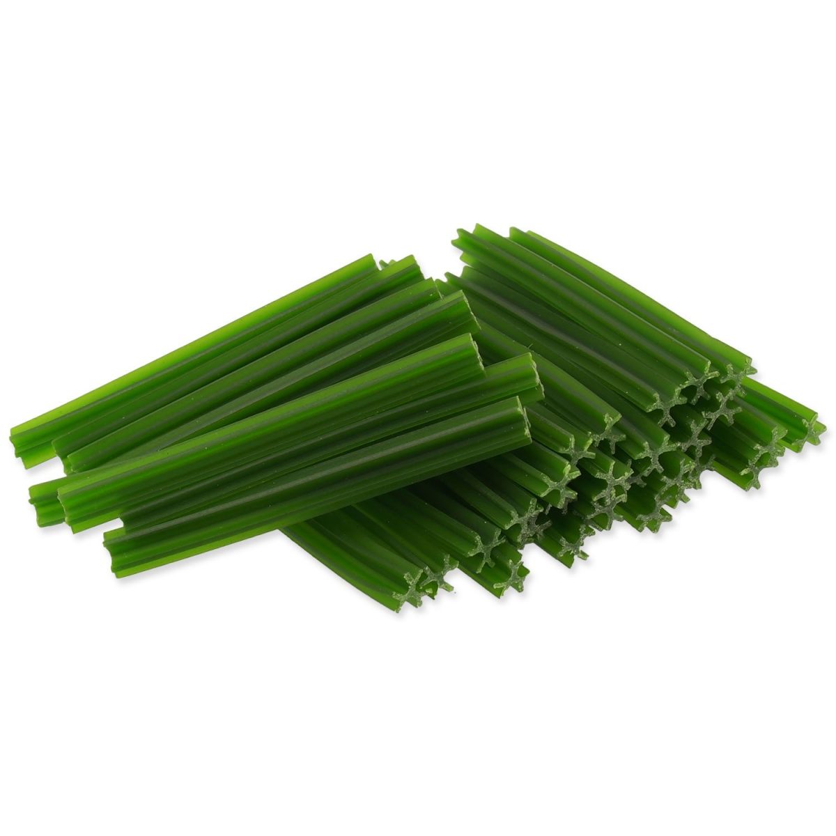 Displej DENTOSAURUS tyčinka s chlorofylem L 21cm 20ks