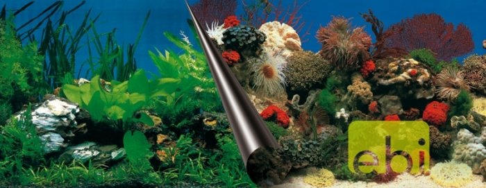 Pozadí akvarijní Stone+Coral Duvo+ 60 x 30 cm