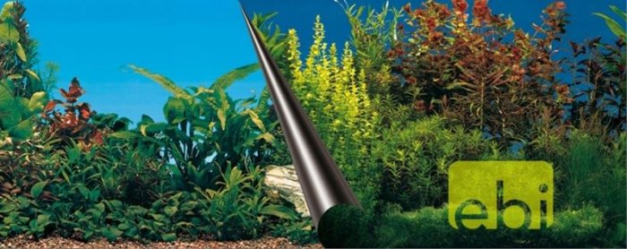 Pozadí akvarijní Beauty+Sea Duvo+ 80 x 40 cm