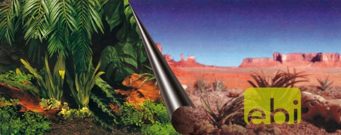 Pozadí akvarijní Jungle+Dessert Duvo+ 120 x 50 cm